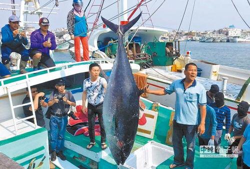 渔民去台湾吃瓜视频大全,渔民镜头下的瓜果盛宴