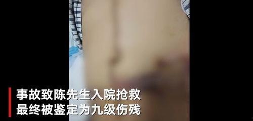 上海特斯拉吃瓜事件视频,一场引发热议的维权风波