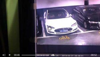 上海特斯拉吃瓜事件视频,一场引发热议的维权风波