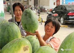 吃瓜视频一区,揭秘热门话题背后的真相与笑料