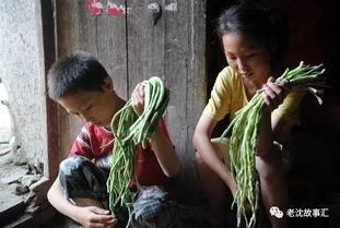 吃瓜江西姐弟视频,揭秘背后真相与网友热议